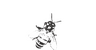 BOMGOL